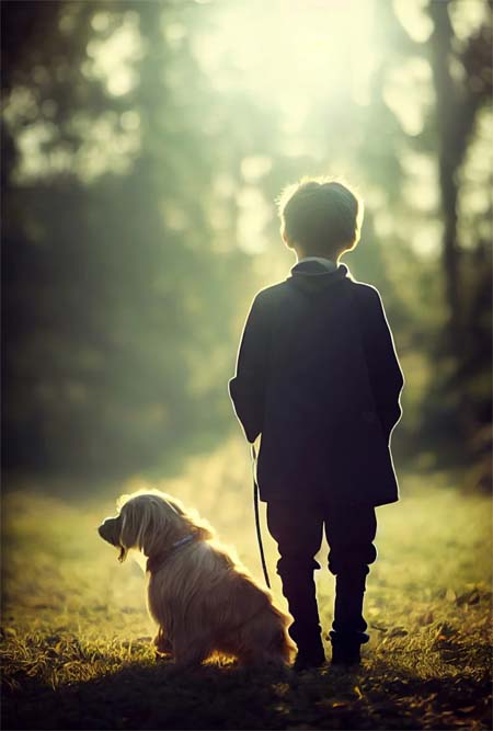 Boy Walking Dog