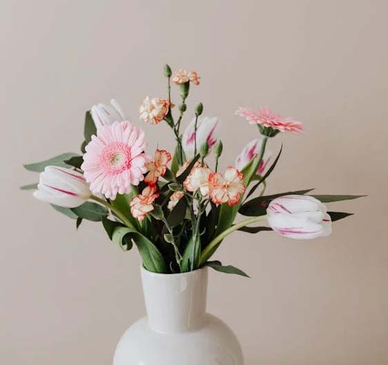 Cut Flowers in Vase