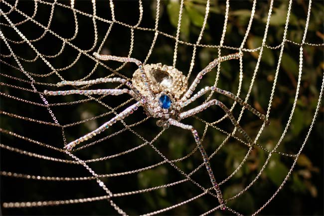 Jewelry Spider