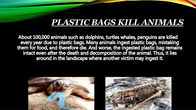 Plastics Kill Animals