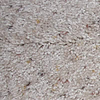 Saxony Textured Residential Carpet Style