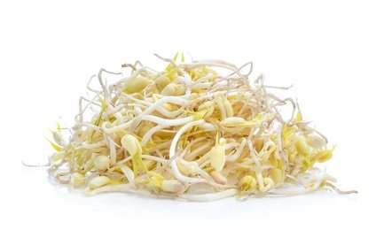 Bean Sprouts