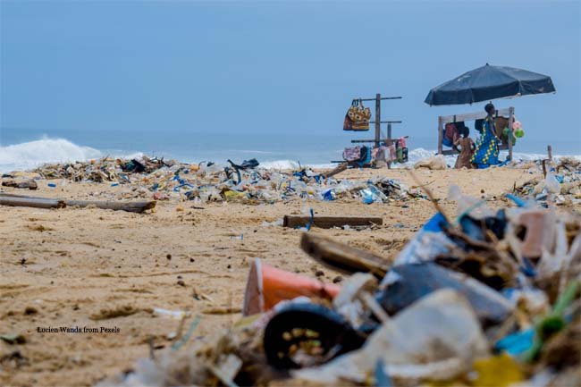 Garbage On The Beach