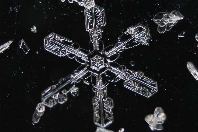 Closeup of Snowflake