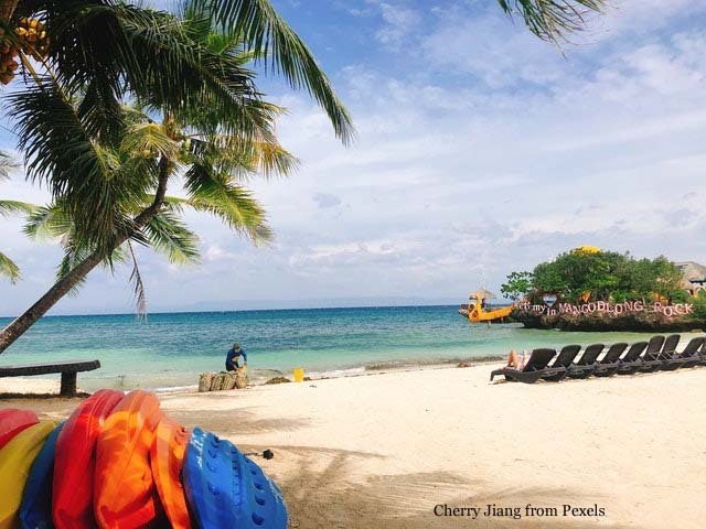 Man Cleaning Tropical Sandy Beach