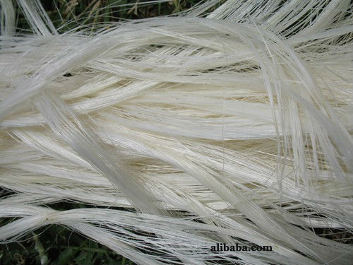 Natural Raw Sisal Fiber